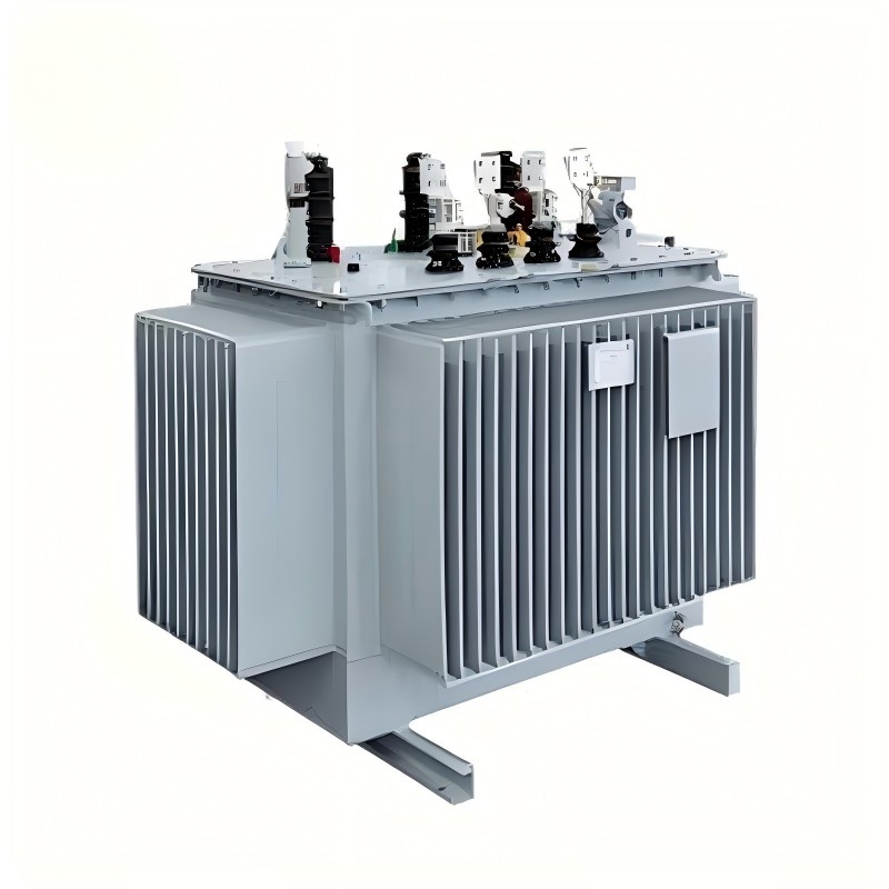 Trasfhoirmeoir Cumhachta Tumtha Ola 10kV S13 Series